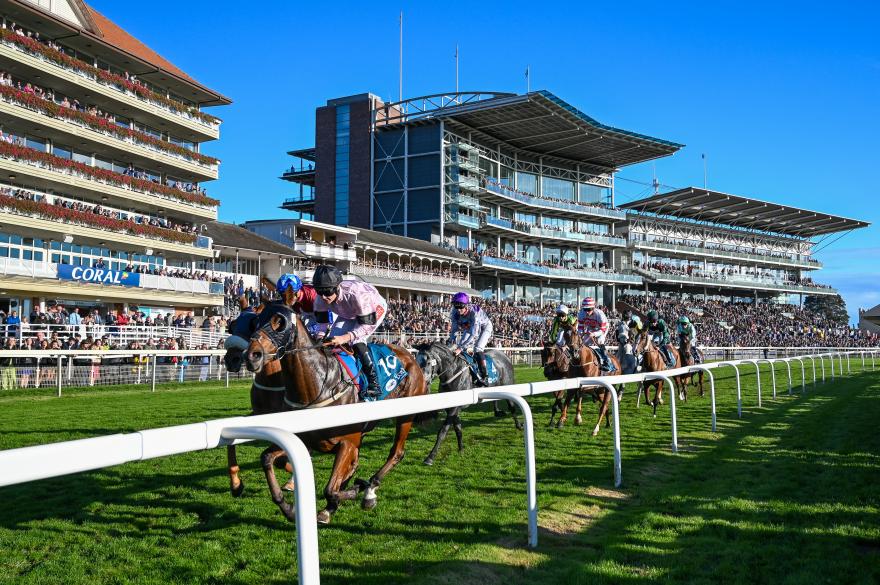 Knavesmire Stand Boxes