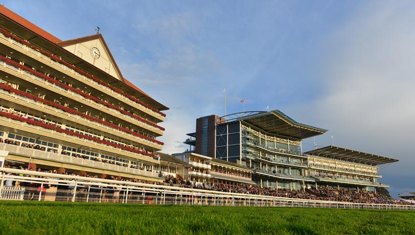 Ebor Stand Boxes